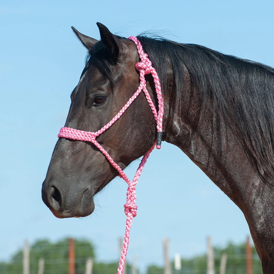 Braided Mule Tape Halter with 9' Lead