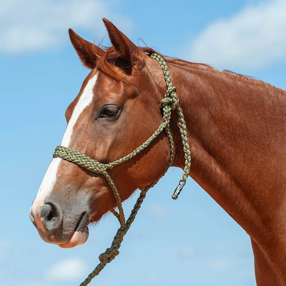 Braided Mule Tape Halter with 9' Lead