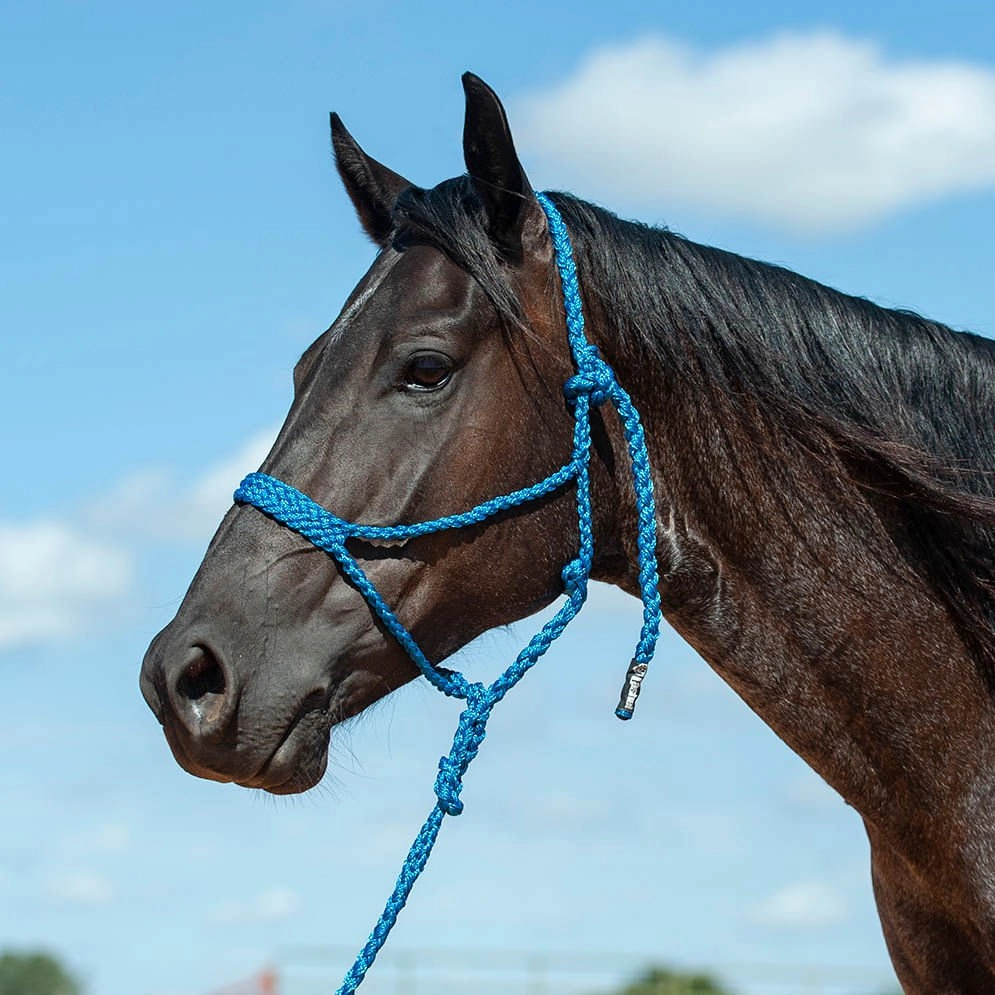 Braided Mule Tape Halter with 9' Lead