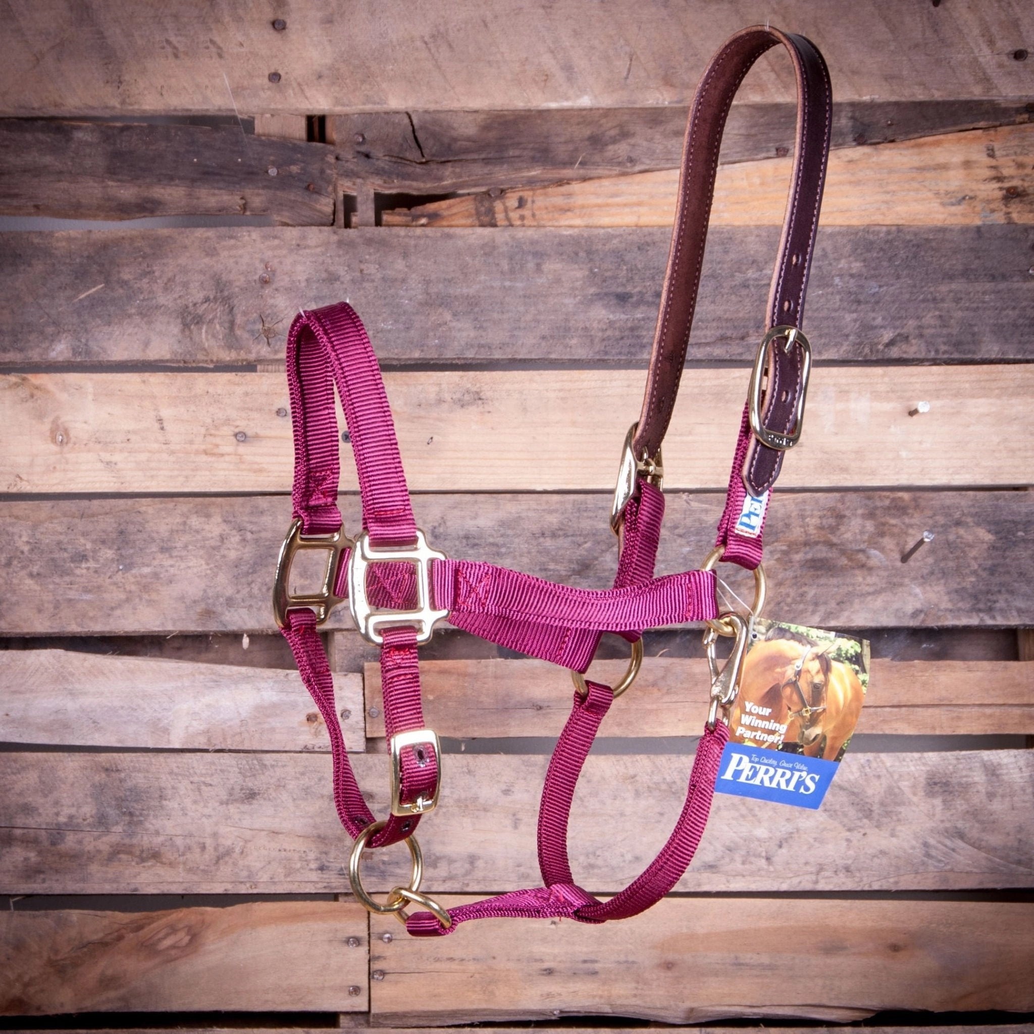 Breakaway Horse Halter, Horse Size