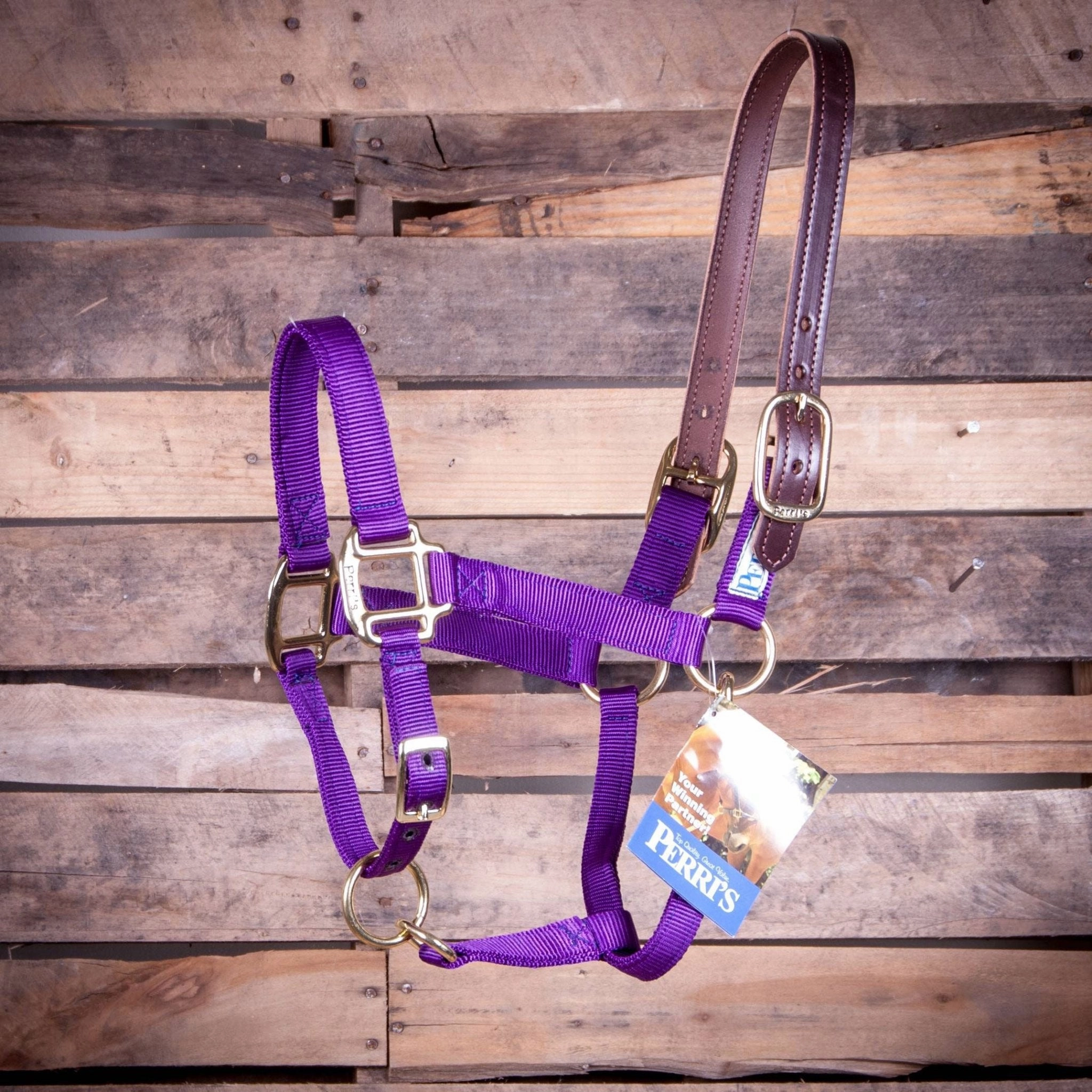 Breakaway Horse Halter, Horse Size bird pet,aviary product