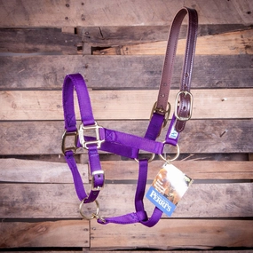 Breakaway Horse Halter, Horse Size bird pet,aviary product