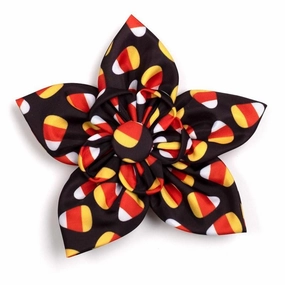 Candy Corn Dog Collar Flower dog collar accessory,collar decor