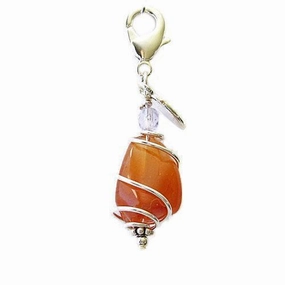 Carnelian Healing Dog Collar Charm Pawmulet