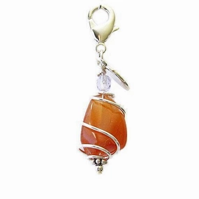 Carnelian Healing Dog Collar Charm Pawmulet dog collar charm,pet tag
