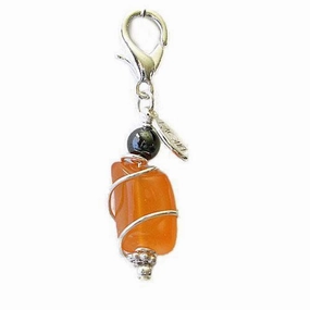 Carnelian/Hematite Healing Dog Collar Charm Pawmulet
