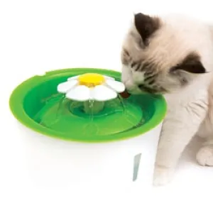 Catit 2.0 Flower Fountain adult cat food, best cat food for adults