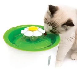 Catit 2.0 Flower Fountain adult cat food, best cat food for adults