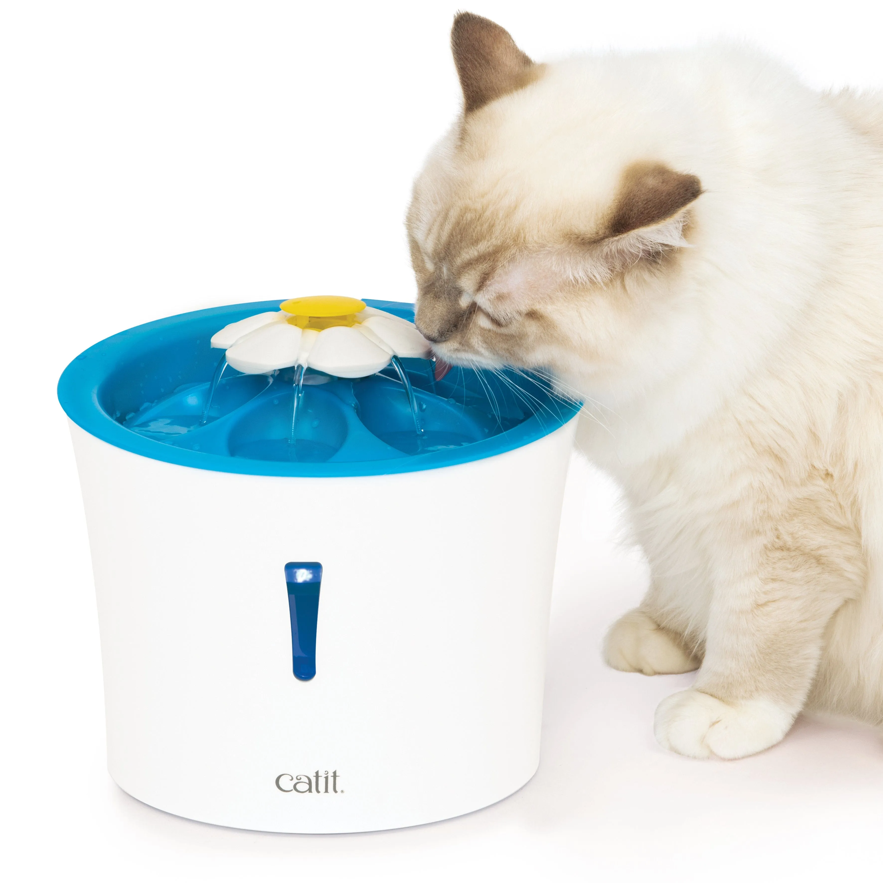 Catit LED Flower Drinking Fountain for Cats