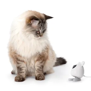 Catit PIXI Smart Mouse Camera cat vitamins, cat immune support