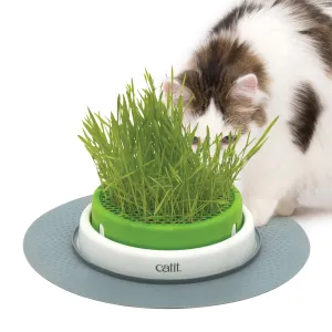 Catit Senses 2.0 Grass Planter adult cat food, best cat food for adults