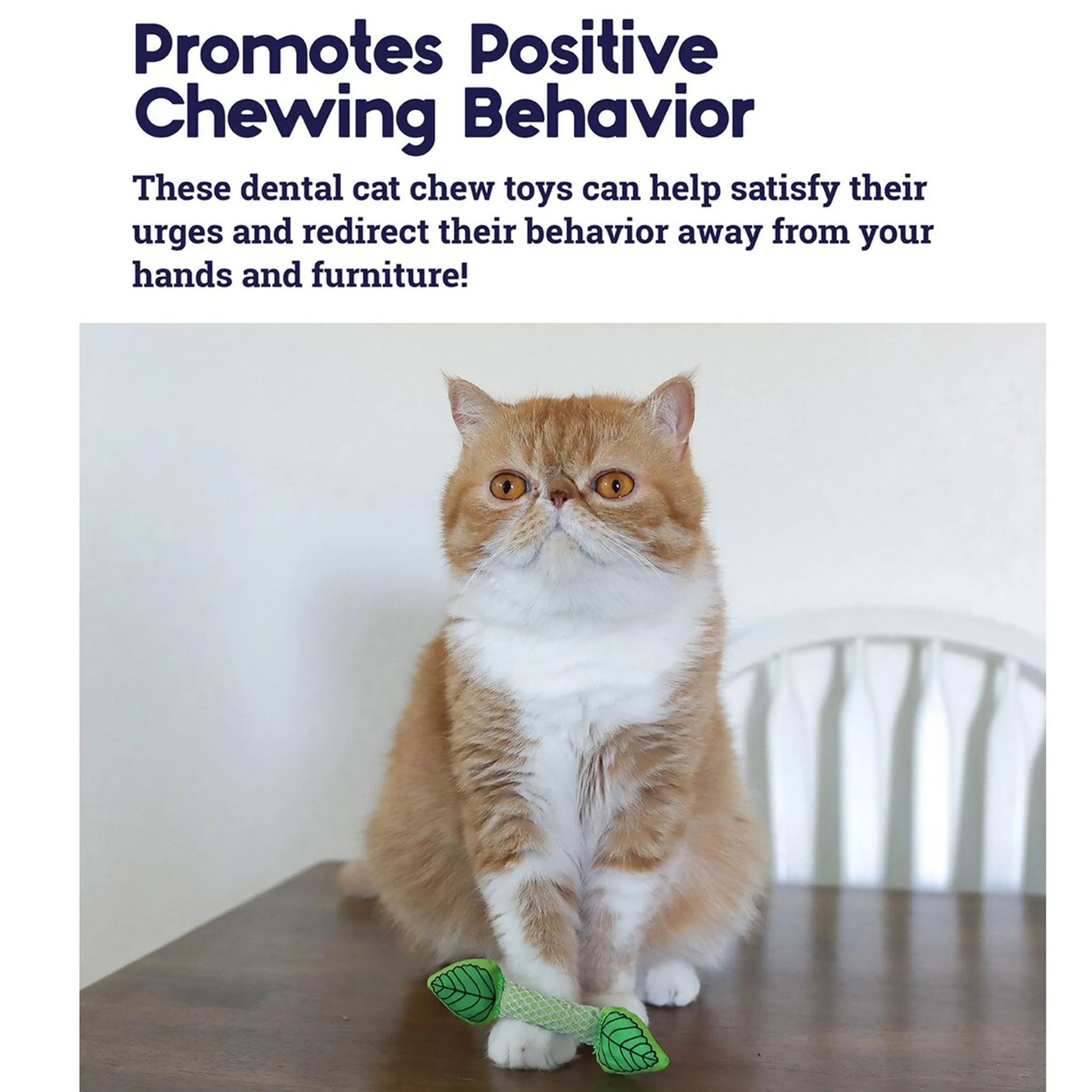 Catstages Fresh Breath Mint Stick Green Cat Toys