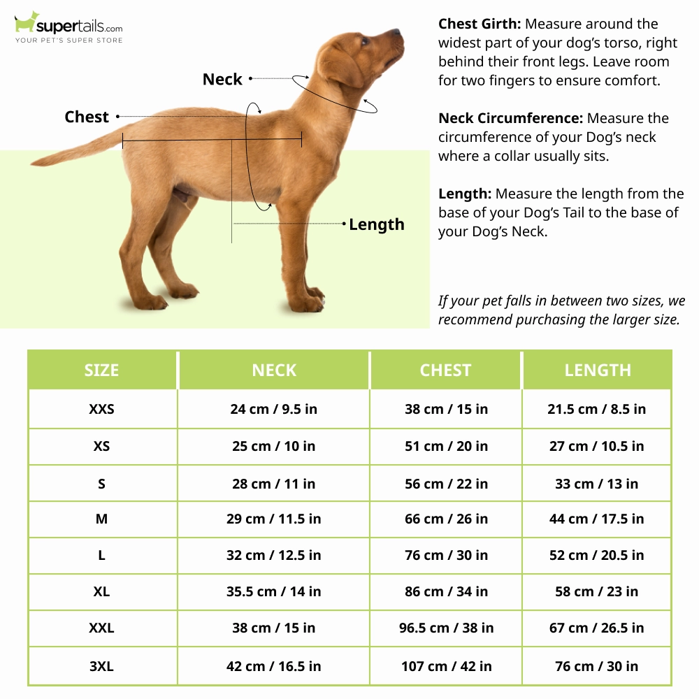 Cheeku Bad to The Bone Graphic Cotton T Shirt For Dogs and Cats (Sharp Green)