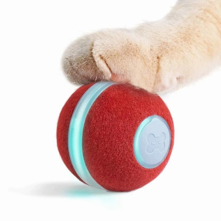 Cheerble Electronic Ball Toy for Cats (Red)