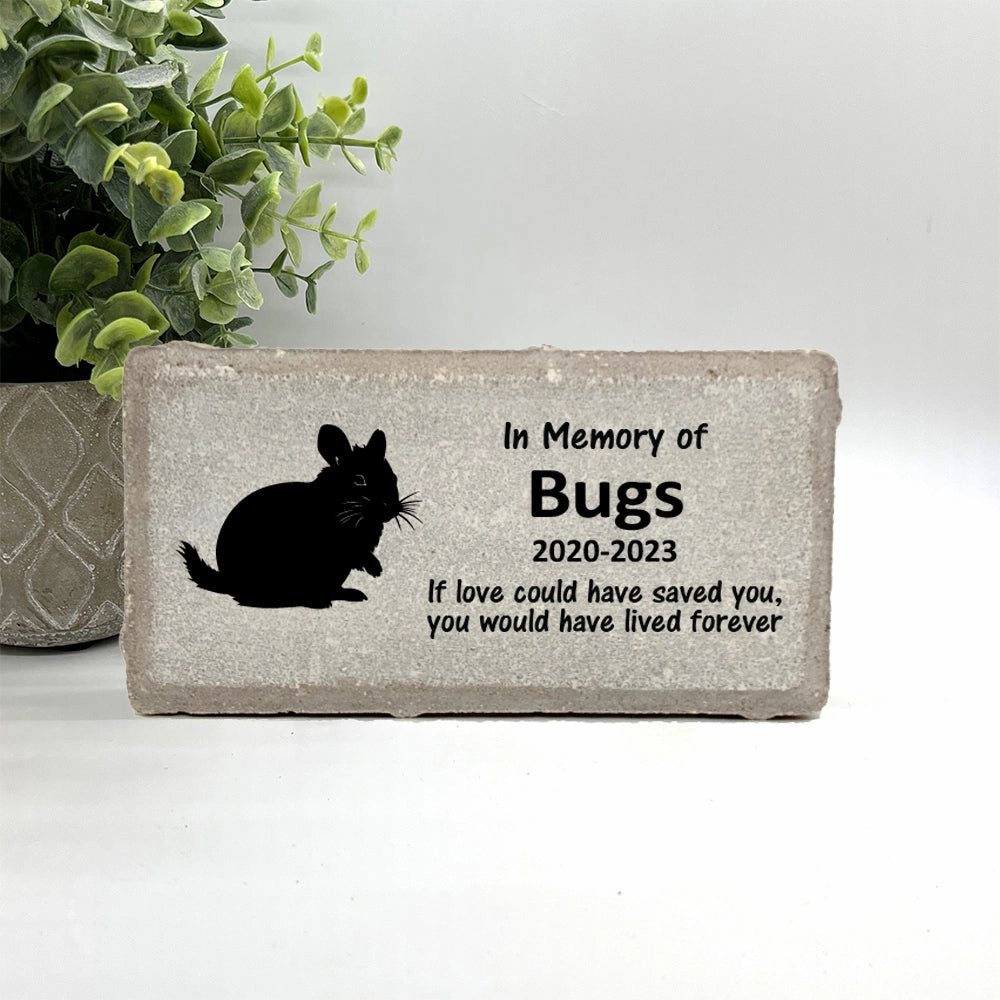 Chinchilla Memorial Stone - If love could have saved you, you would have lived forever