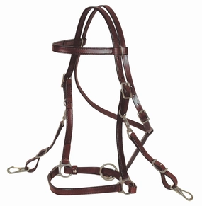 Circle Y 3/4" Trail Halter Bridle, Full bird pet,aviary product