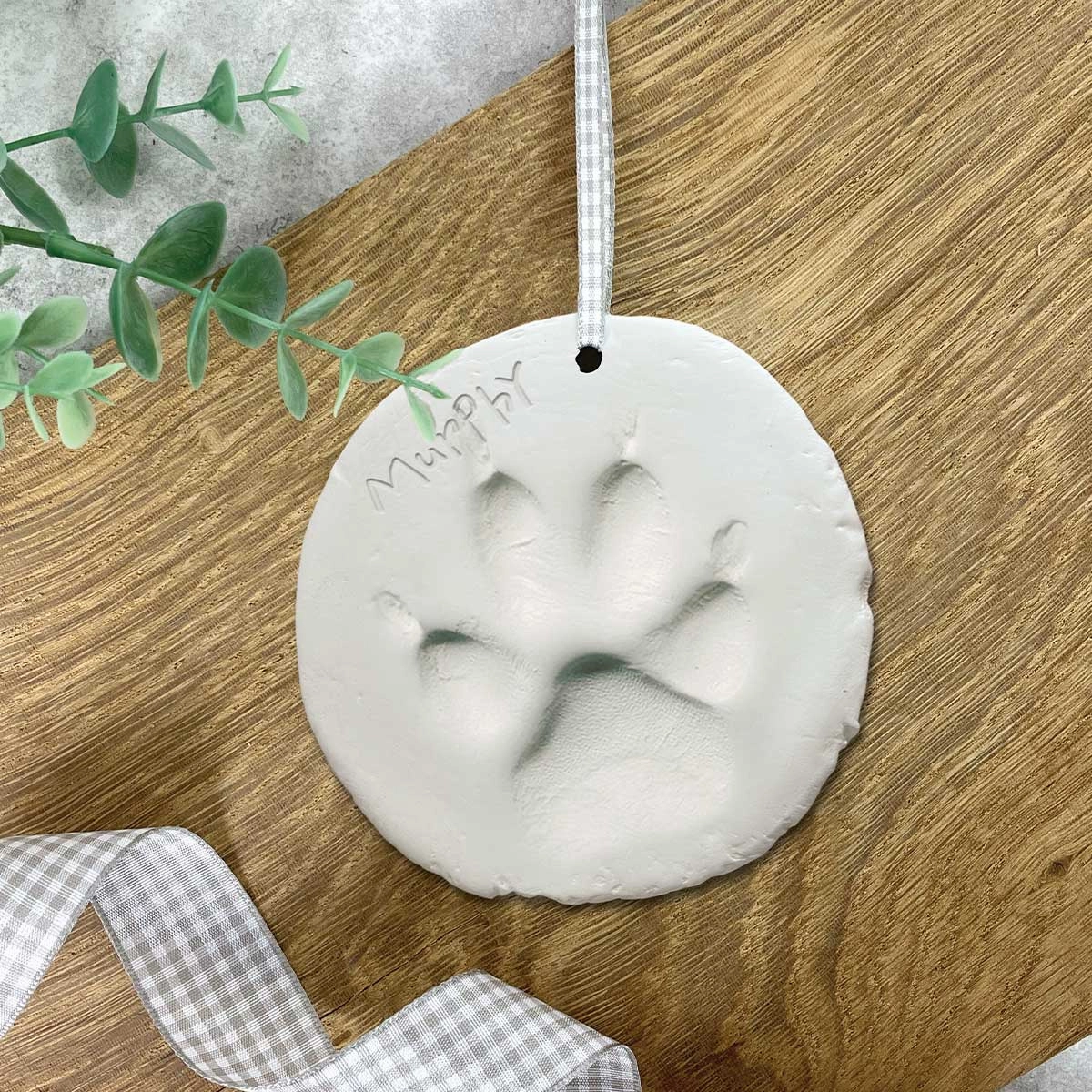 Clay Pet Paw Impression Moulding Kit poultry halters,bird leash