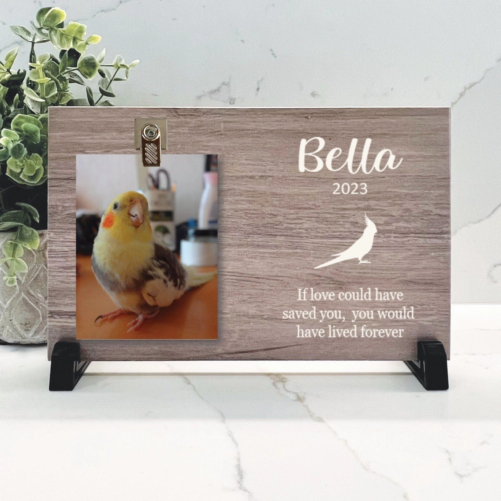 Cockatiel Memorial Gift - Cockatiel Memorial Frame show poultry,grooming poultry