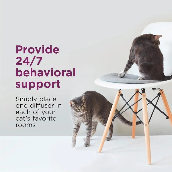 Comfort Zone Multi-Cat Diffuser Kit
