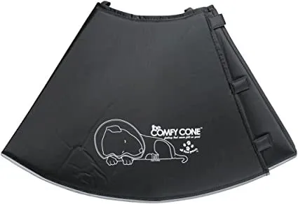 Comfy Cone cat vitamins, cat immune support