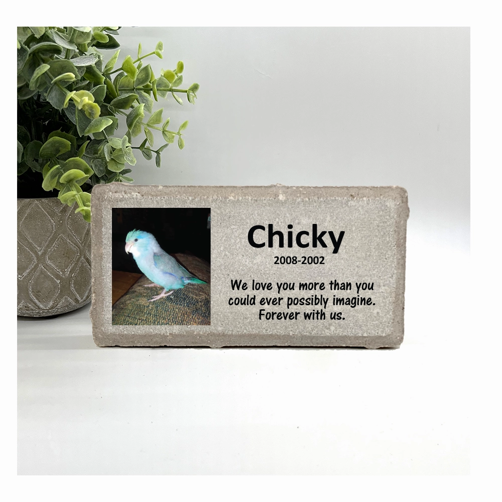Custom Photo Pet Memorial Stone - YOUR FAVORITE PHOTO ADDED show poultry,grooming poultry