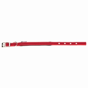 DAYTONA DELUXE C cat supplies,cat essentials