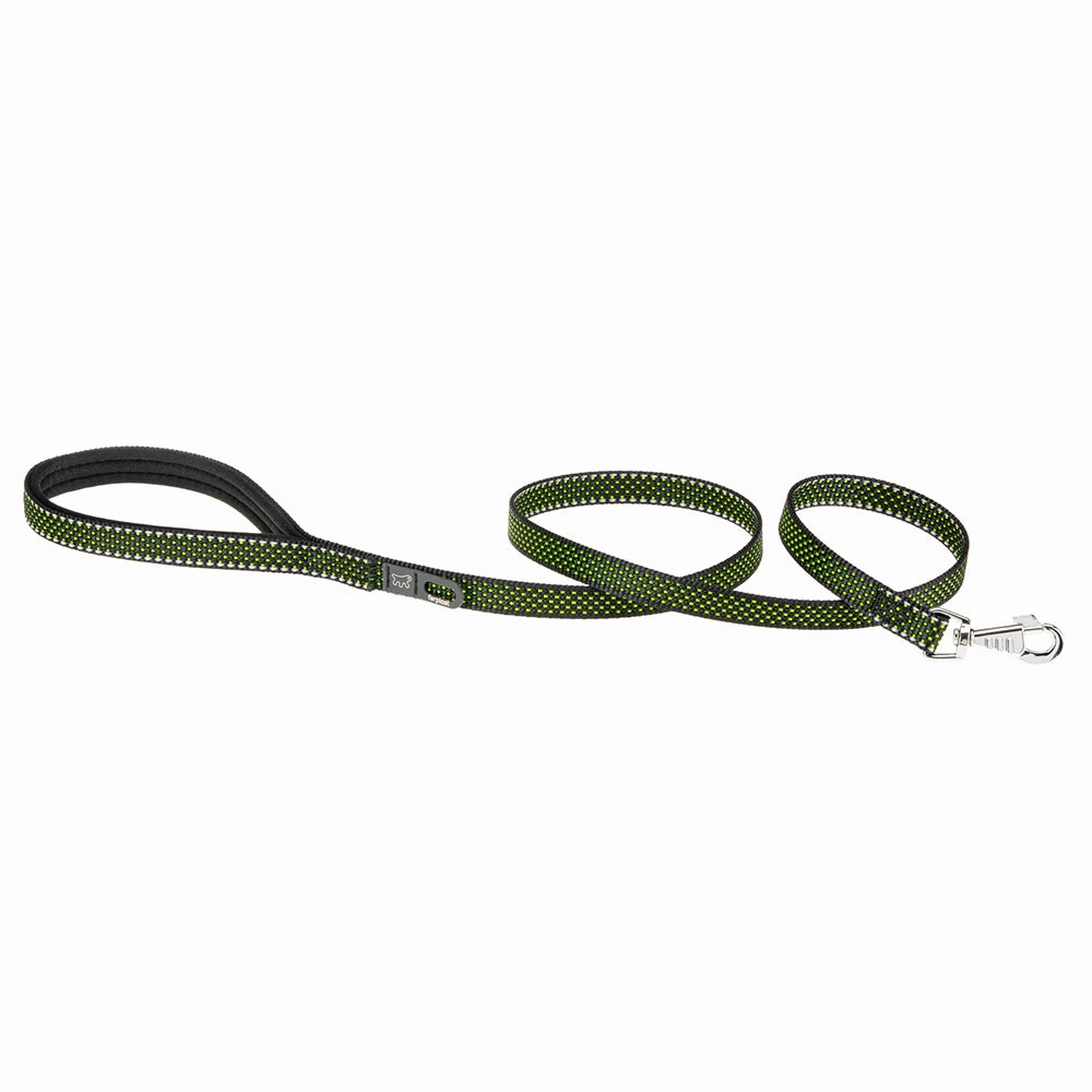 DAYTONA DELUXE G cat supplies,cat essentials