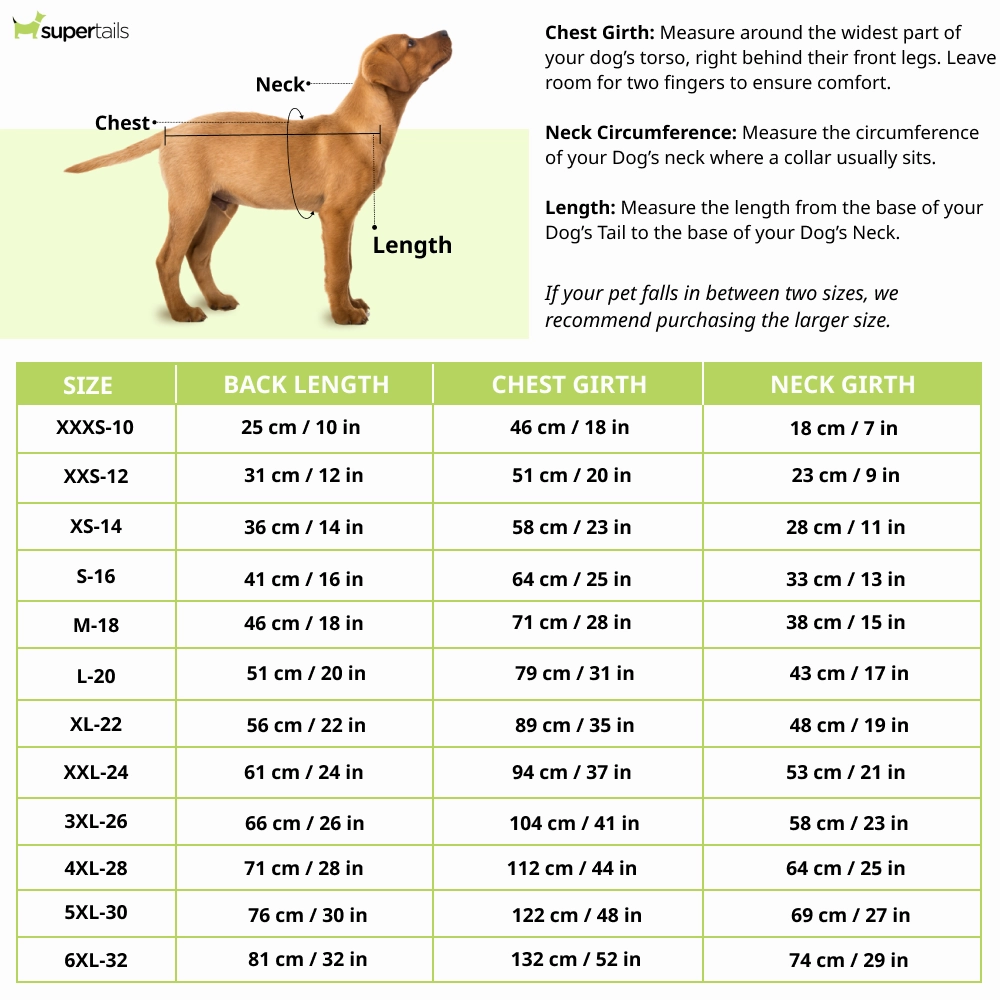 Dogobow Dino Raincoat for Dogs and Cats (Green Camo)