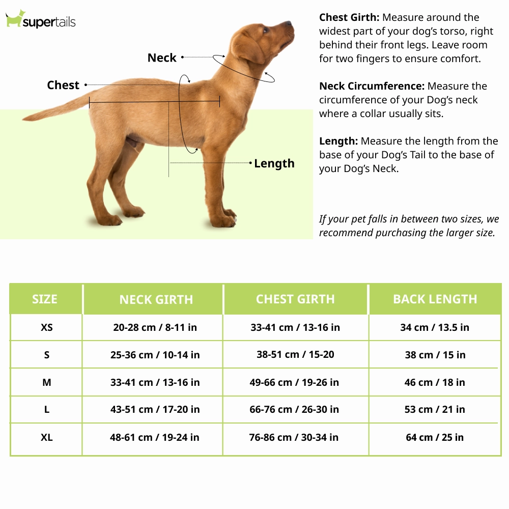 Dogobow Layered Dress For Dogs (Pink) (Get a Bow Free)