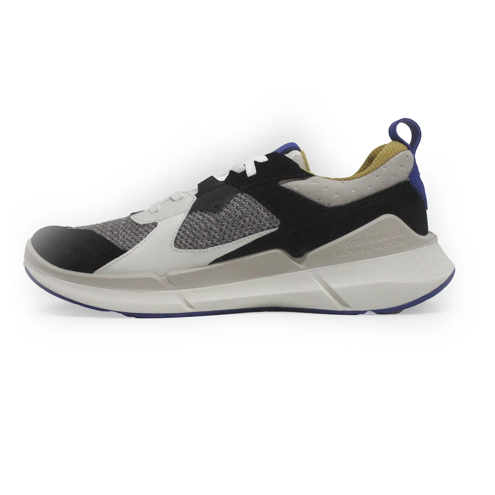 Ecco Biom 2.2 Leather Textile Men's Low Top Trainers ecco Shoes
