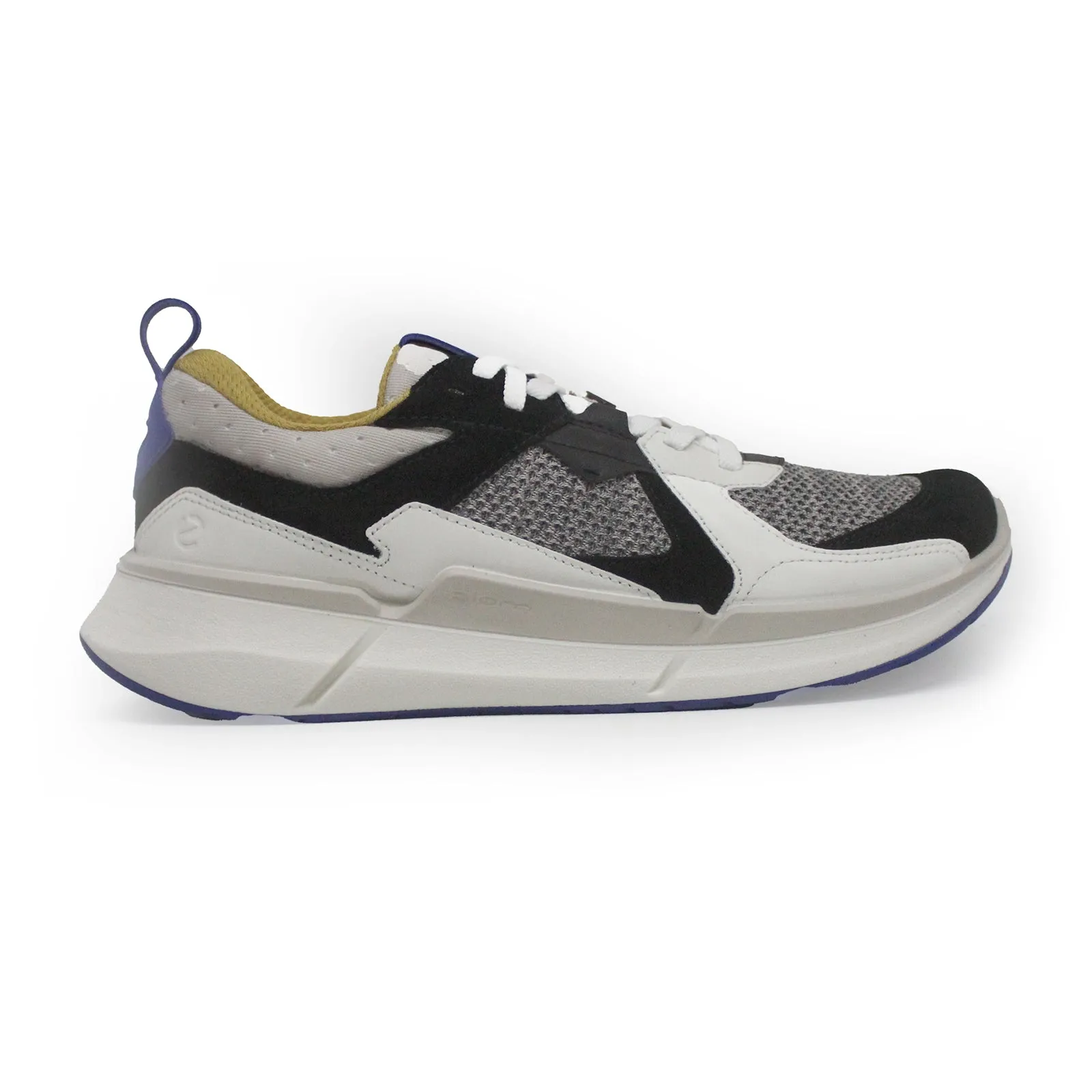Ecco Biom 2.2 Leather Textile Men's Low Top Trainers ecco Shoes