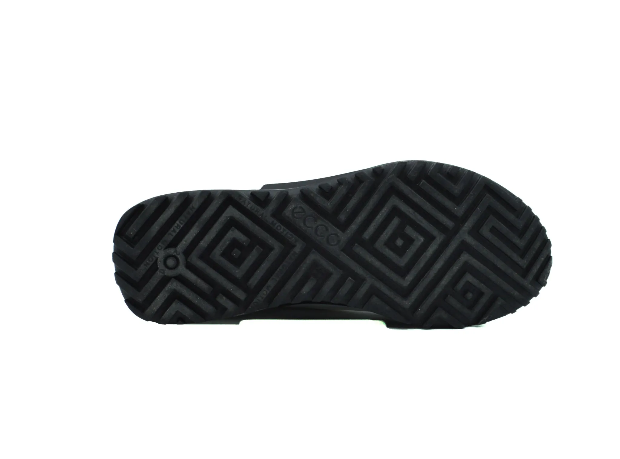 ECCO MEN'S BIOM 2.0 SNEAKER ecco Shoes