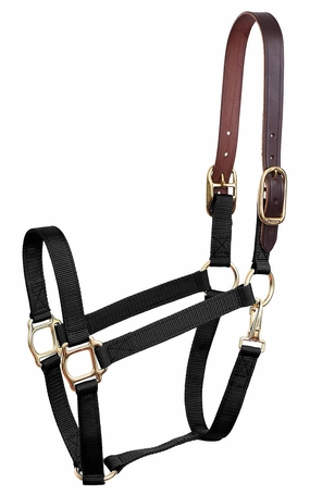 Economy Nylon Safety Horse Halter bird pet,aviary product