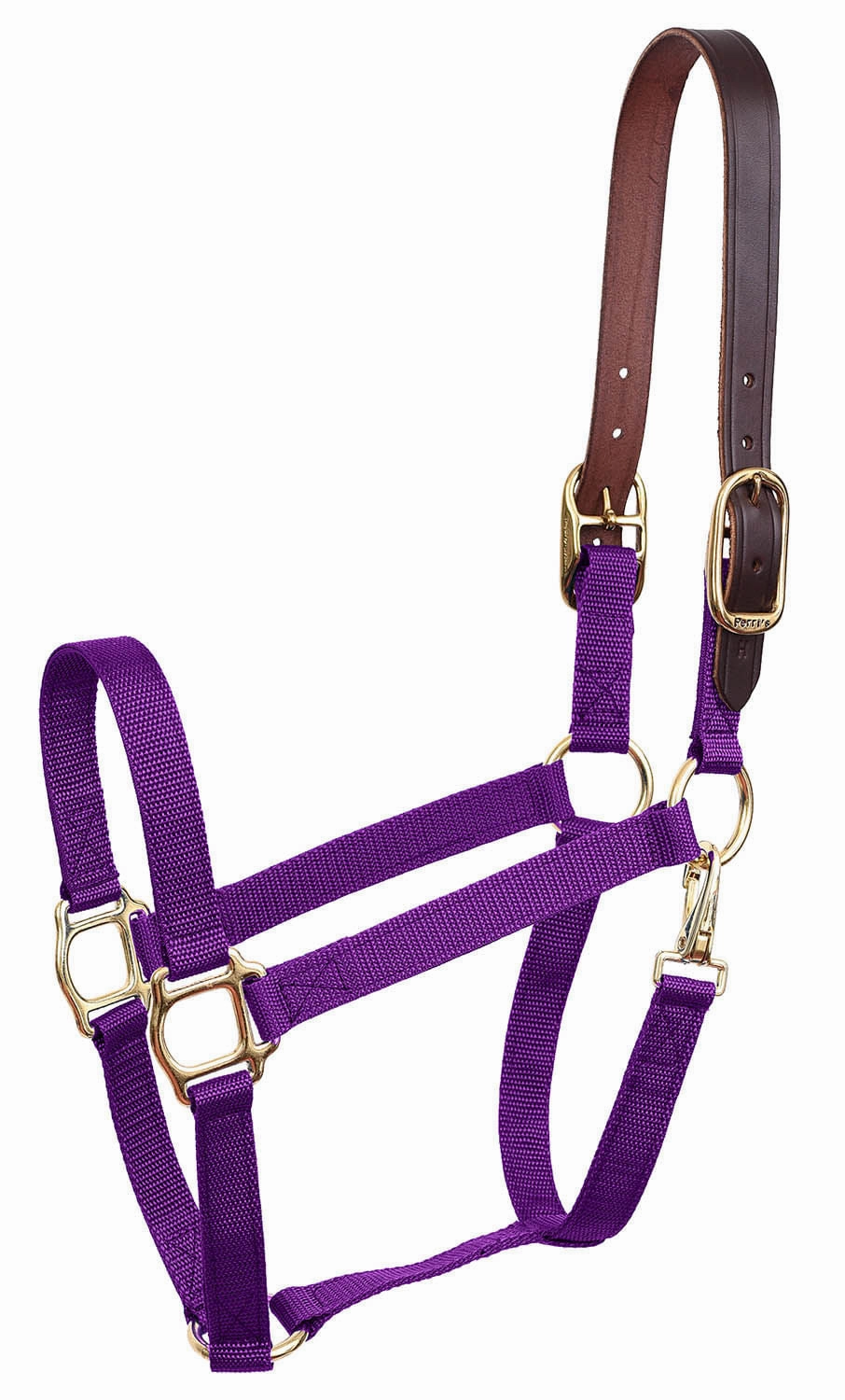 Economy Nylon Safety Horse Halter