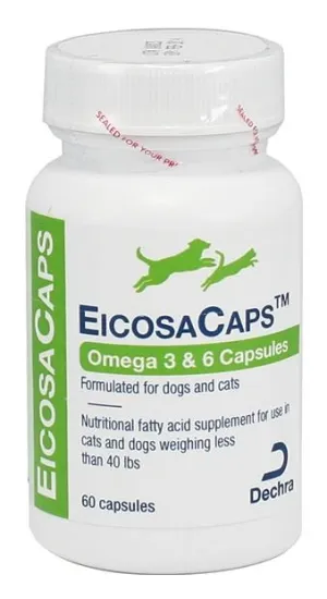 EicosaCaps omega cat vitamins, cat immune support
