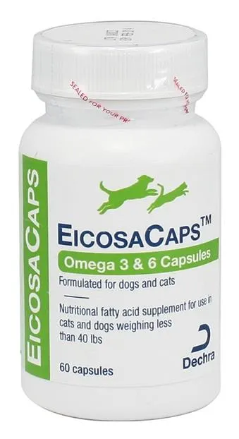 EicosaCaps omega cat vitamins, cat immune support