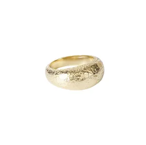 Fairley Antique Dome Ring Shoes_Fairley
