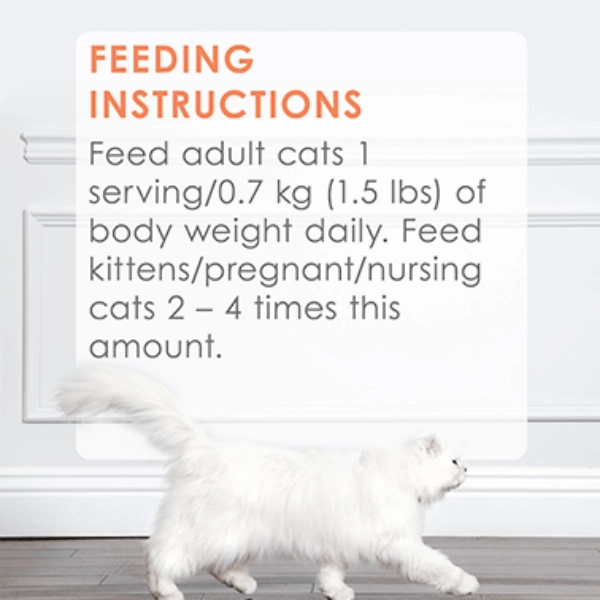 Fancy Feast Petites Wild Alaskan Salmon Entree in Gravy Wet Cat Food