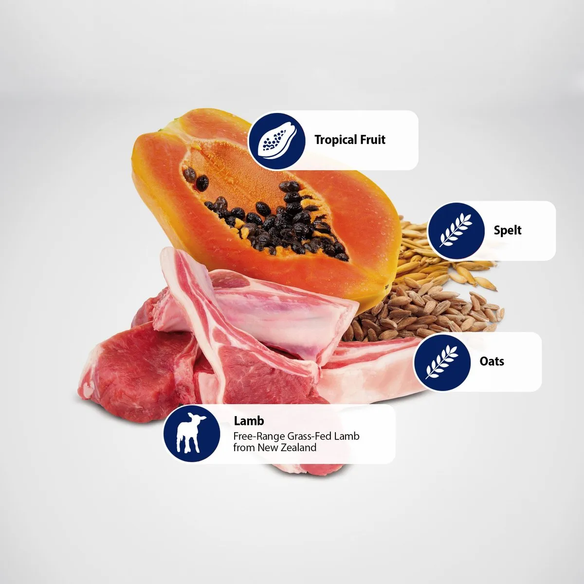 Farmina N&D Tropical Selection Lamb, Spelt, Oats & Tropical Fruits Neutered Adult Dry Cat Food