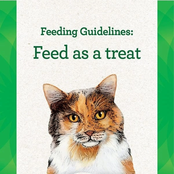 Feline Greenies Salmon Flavour Pill Pockets