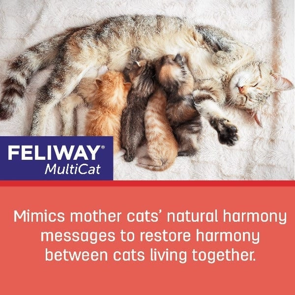 FELIWAY FRIENDS 30 Day Refill