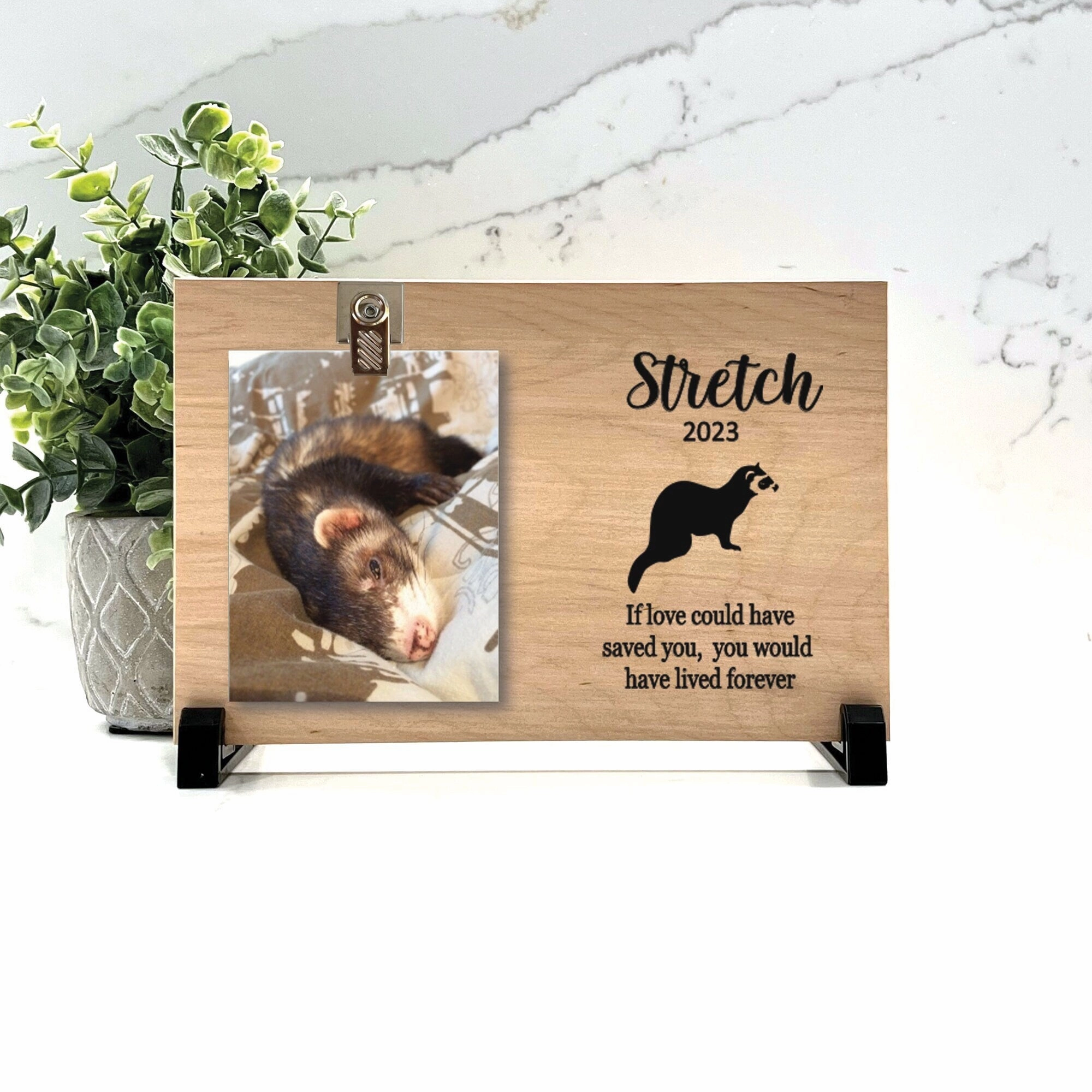 Ferret Memorial Gift - Ferret Memorial Frame