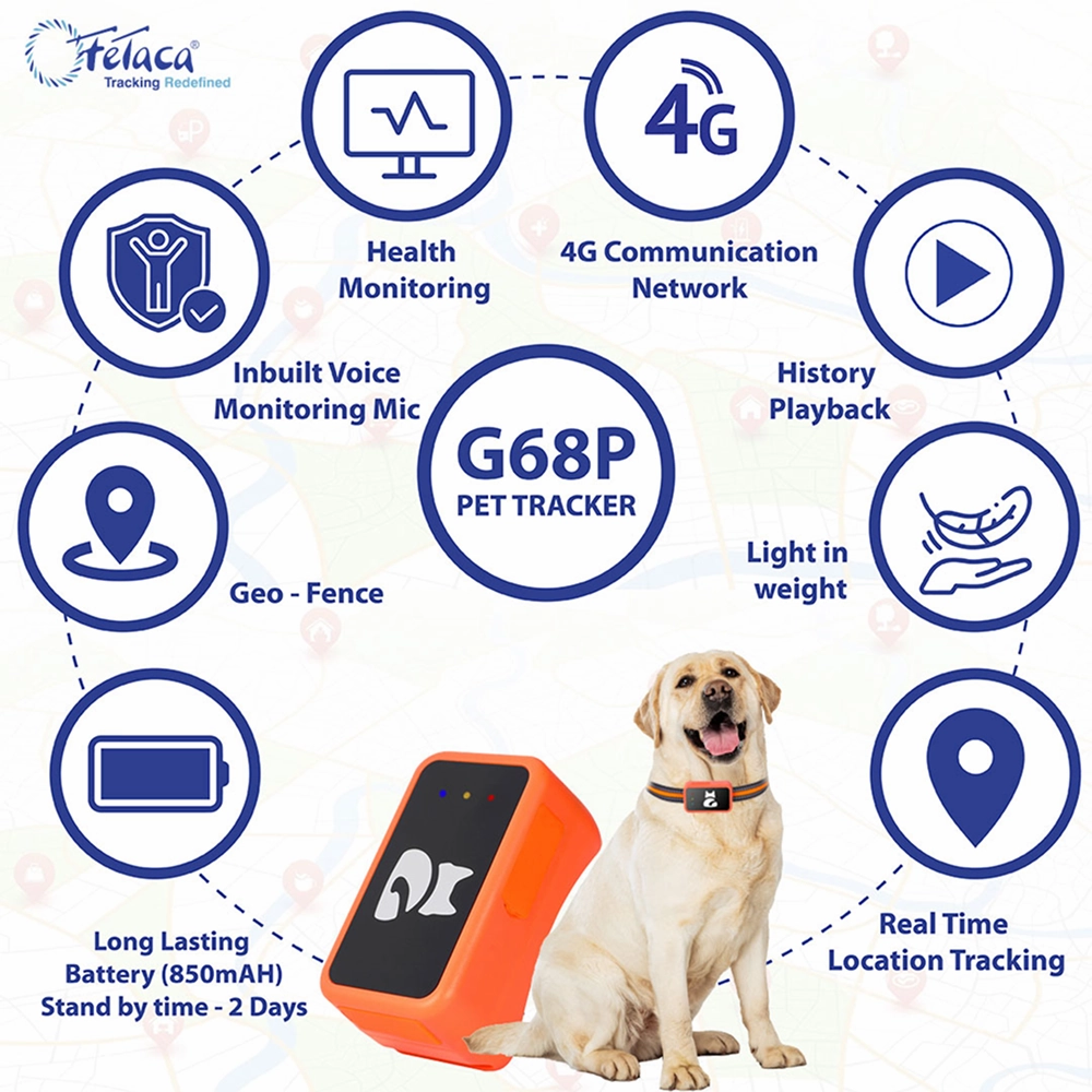 FeTaca Smart 4G GPS Tracker with Lifetime Free Tracking & 1 Year Data SIM Subscription for Dogs and Cats (Orange)
