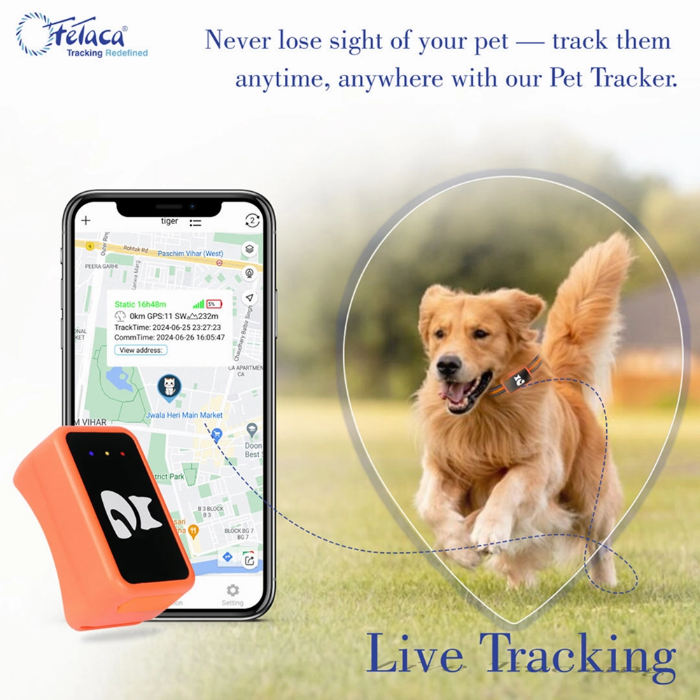 FeTaca Smart 4G GPS Tracker with Lifetime Free Tracking & 1 Year Data SIM Subscription for Dogs and Cats (Orange)