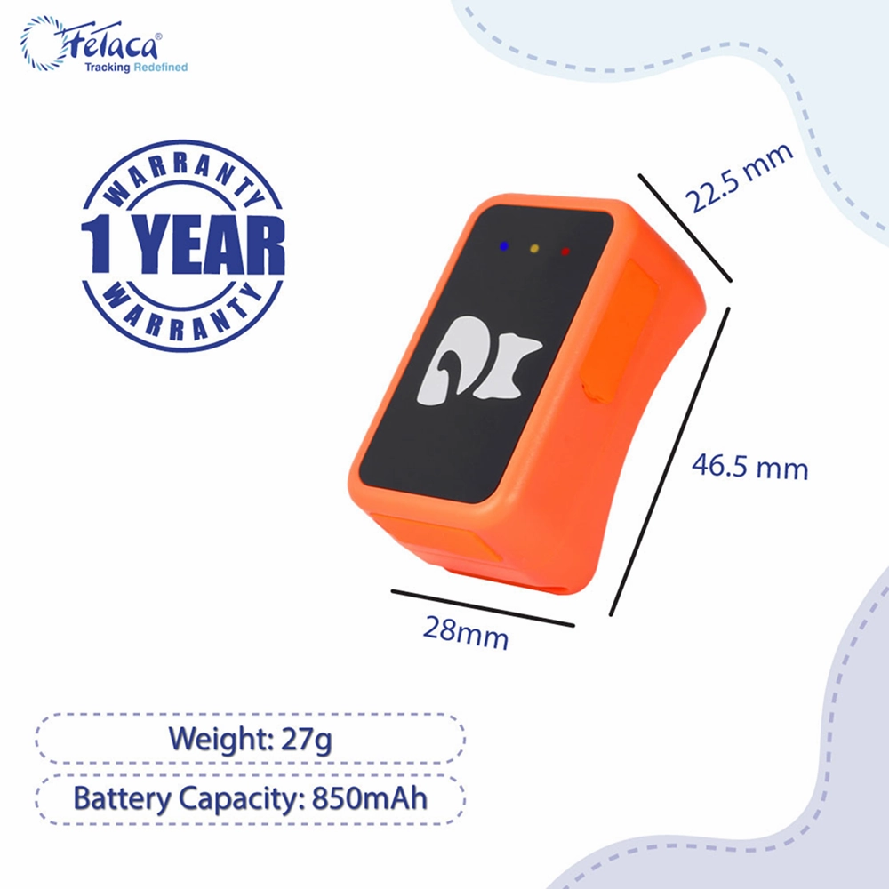 FeTaca Smart 4G GPS Tracker with Lifetime Free Tracking & 1 Year Data SIM Subscription for Dogs and Cats (Orange)