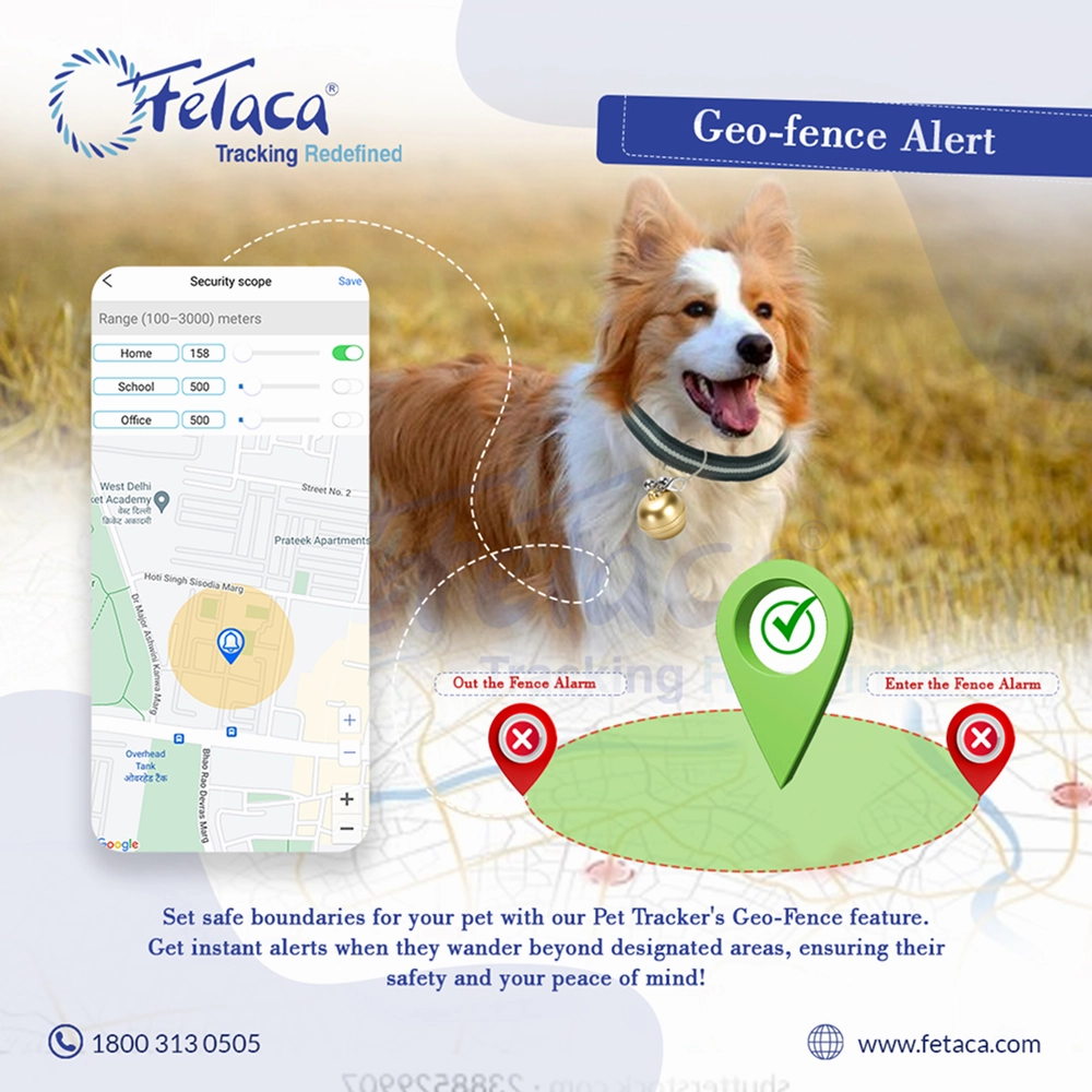 FeTaca Smart Gold Bell Shaped 2G Pet GPS Tracker with 1 Year Advanced Tracking & SIM Data Subscription for Dogs & Cats (Golden)
