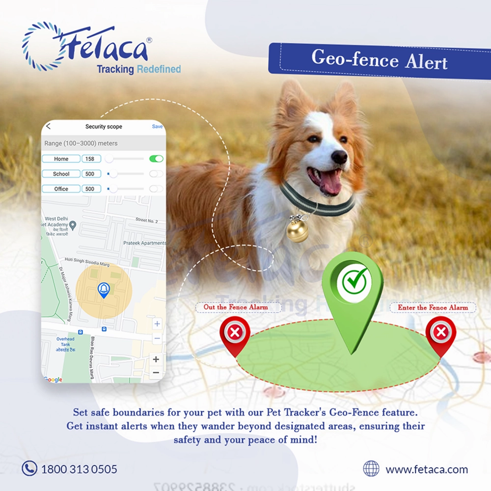 FeTaca Smart Gold Bell Shaped 2G Pet GPS Tracker with Live Location, Mobile Alerts & Activity Tracking (Golden)  | Subscription Required