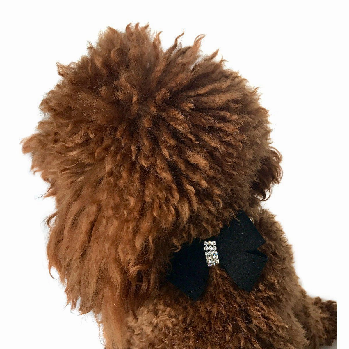 First Place Bow Dog Collar Slider Black
