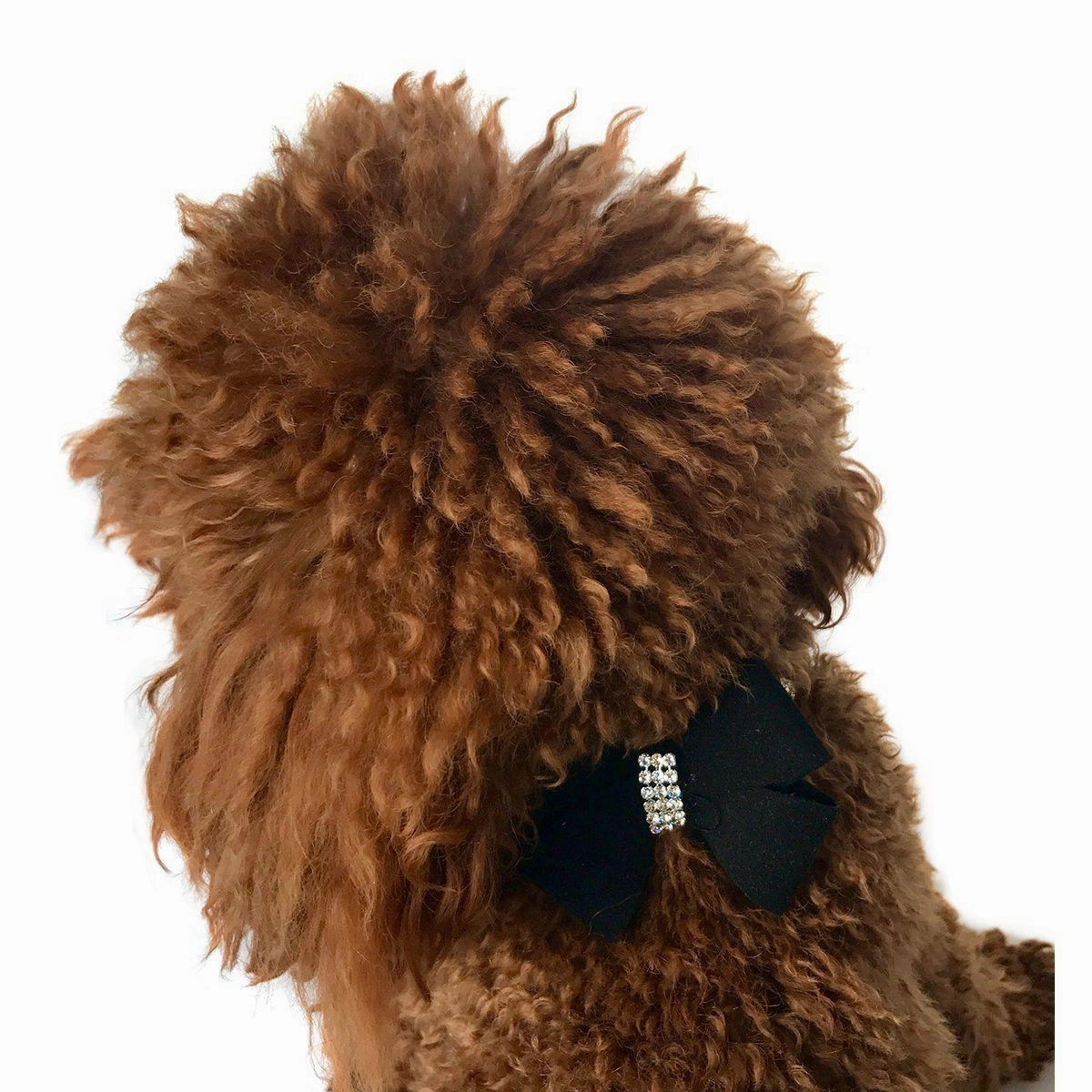 First Place Bow Dog Collar Slider Black