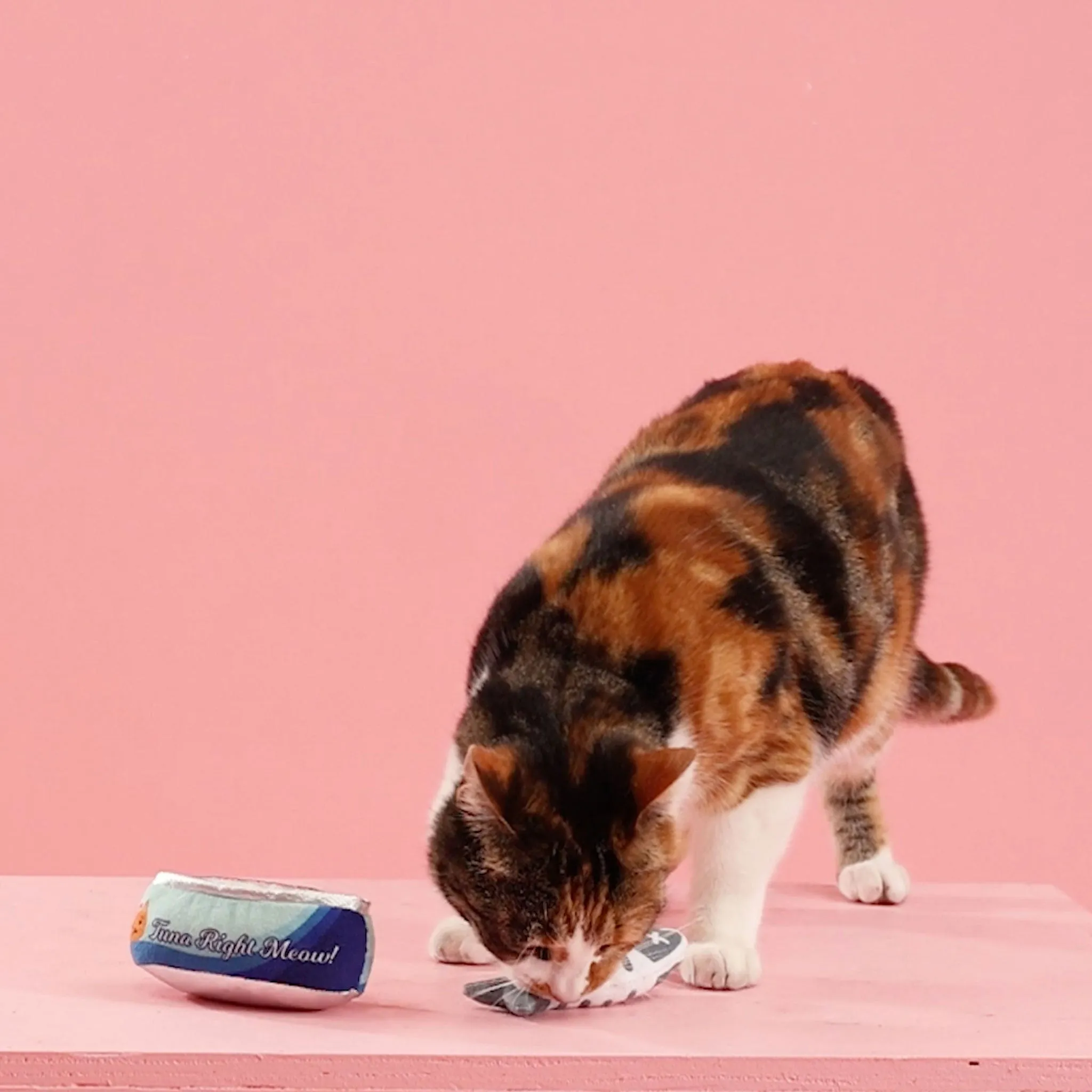 Fringe Tuna Right Meow Multi Cat Toys